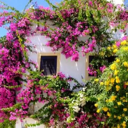 Casa Portuguesa Tatil Evi *